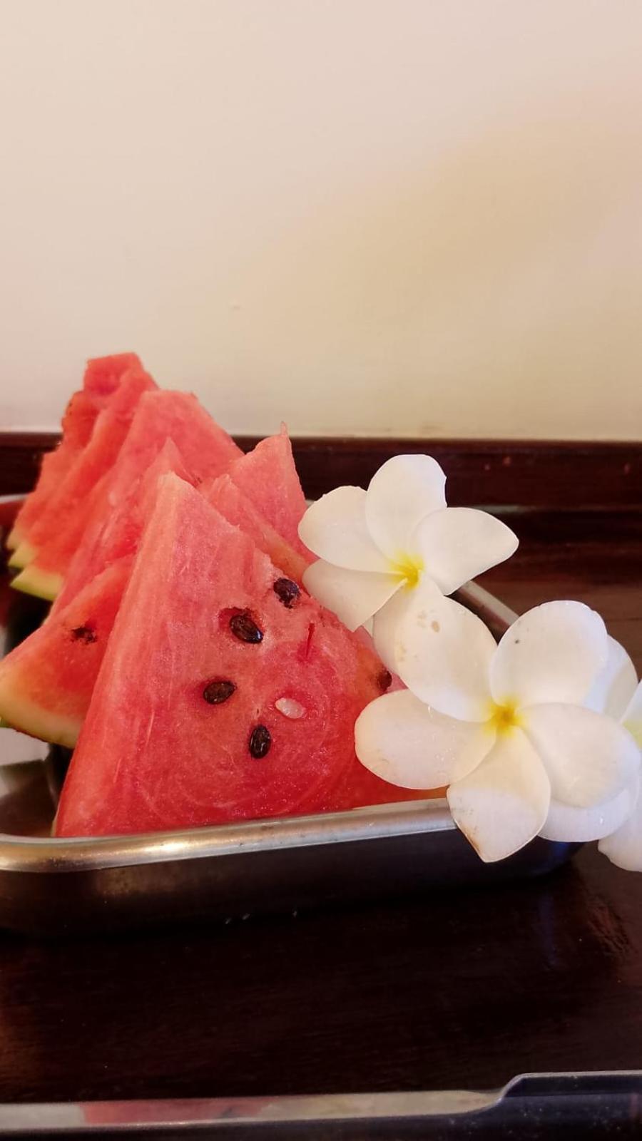 Pousada Eucaliptos Barra Grande  Dış mekan fotoğraf